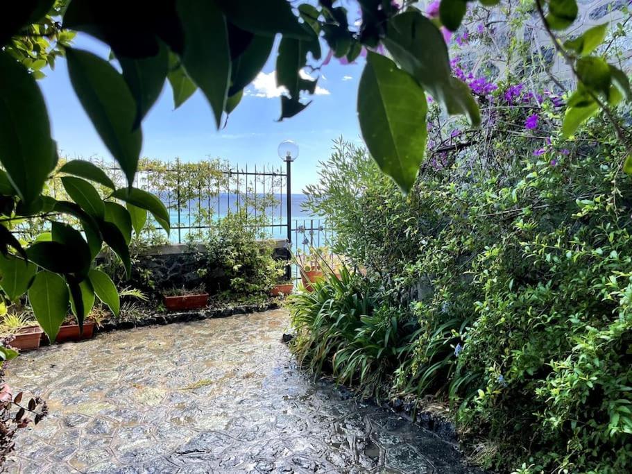 Ocean View Villa With Fast Wi-Fi And Elevator To Town Levanto Dış mekan fotoğraf